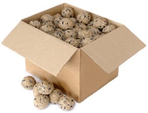 Box of 100 Quality Fat Balls - No Nets