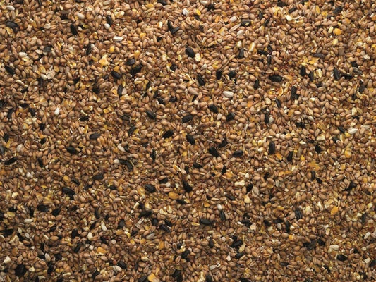 Wild Bird Seed 20kg x 3